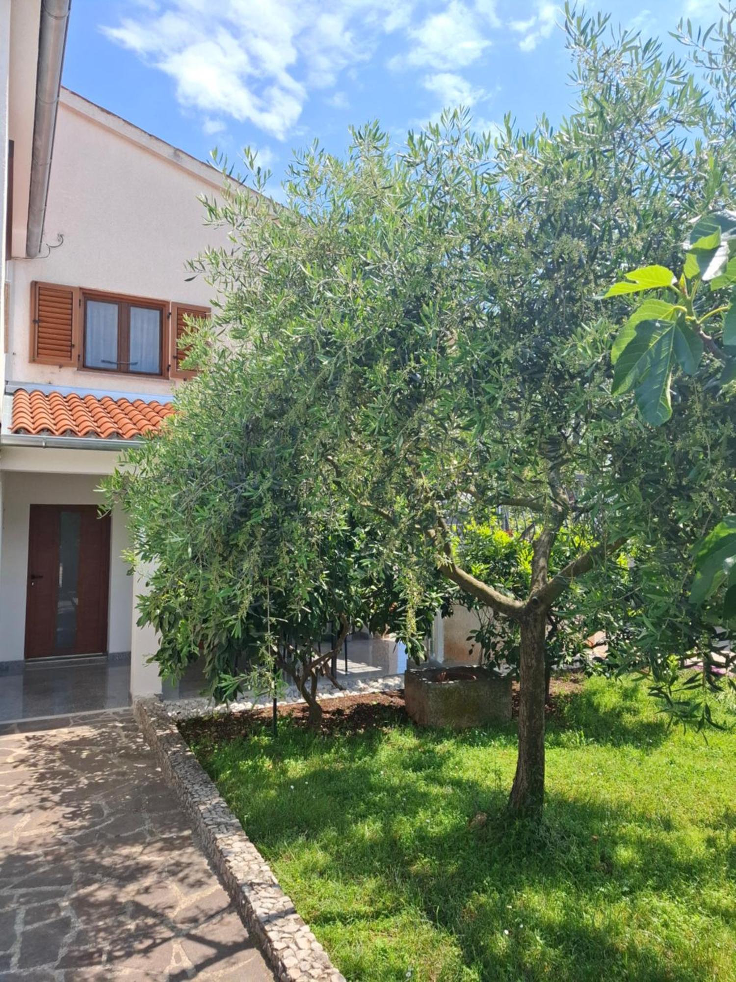 Nacinovic Apartment