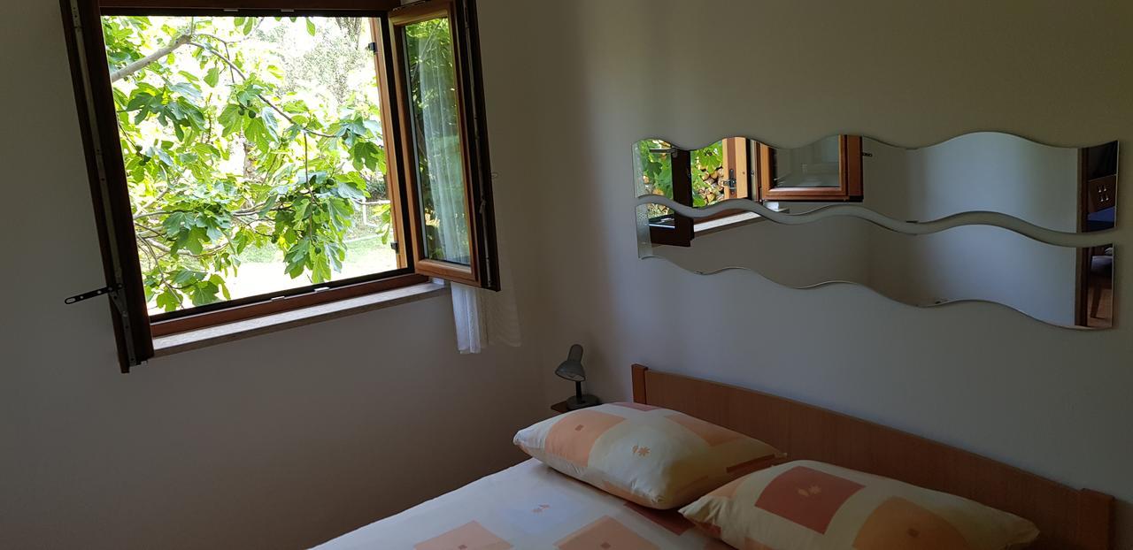 Apartment Nacinovic Poreč